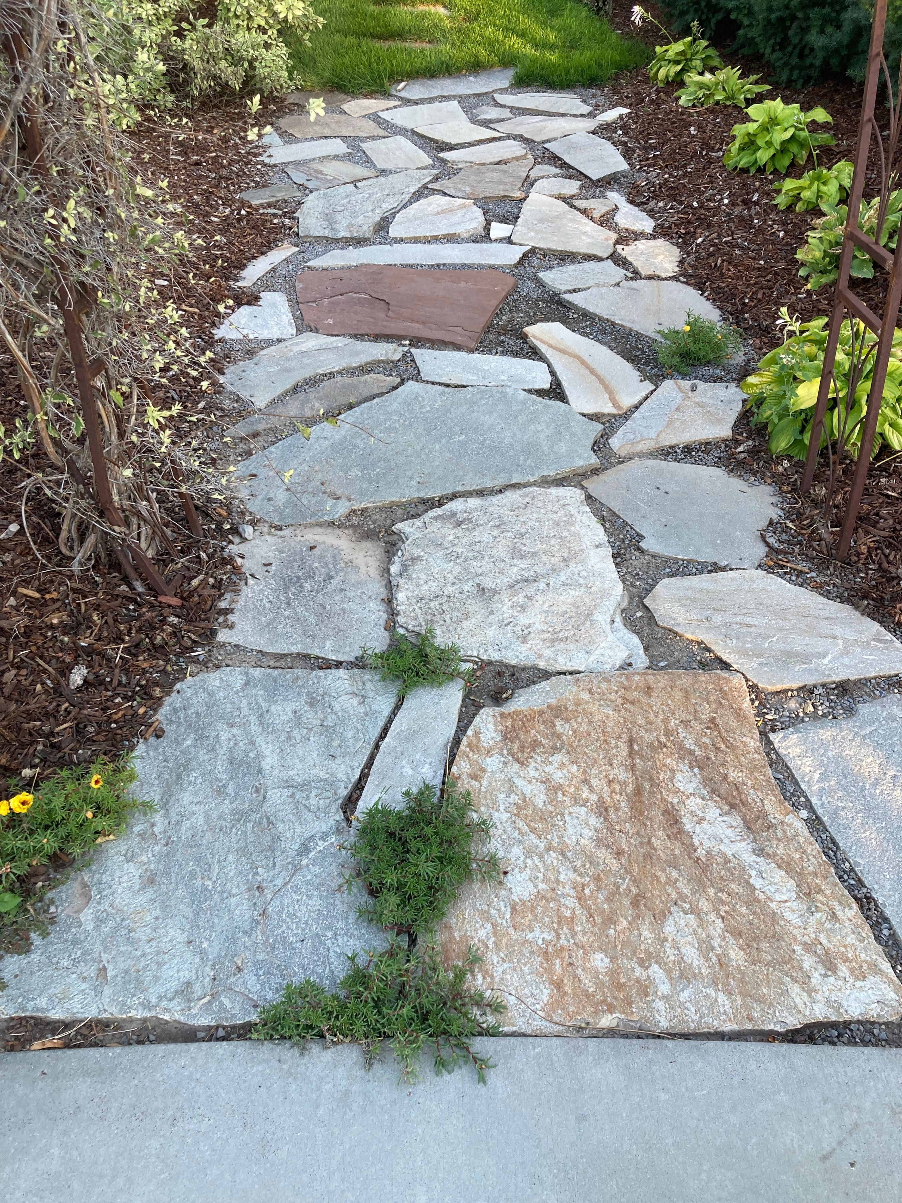 Flagstone walkway surrounded by planting beds and landscape rock