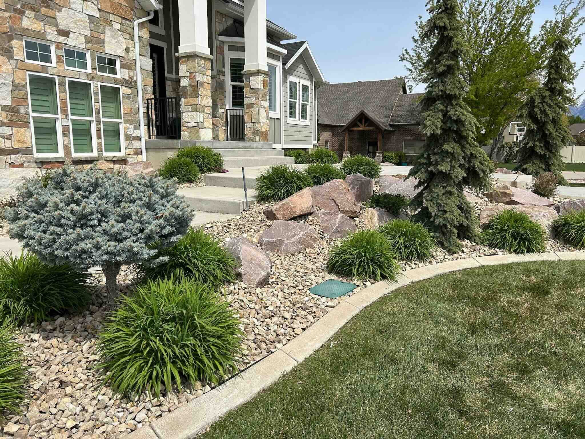 Front yard landscaping with decorative rock, boulders, evergreen trees, ornamental grasses, and a curved lawn border